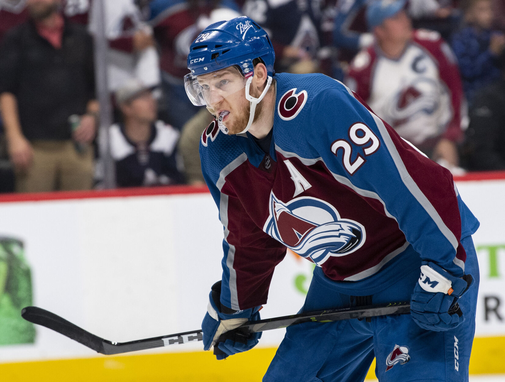Avs